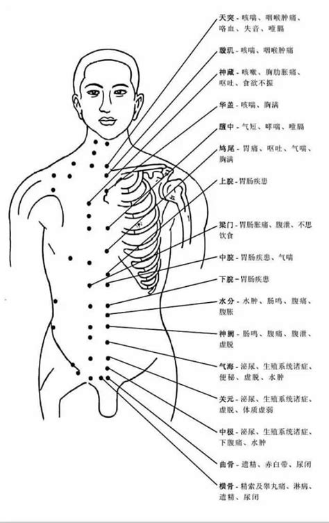 穴位|穴位大全